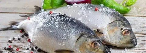 Diminuer sa consommation de sel pour une santé optimale