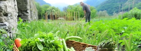 Qu'est-ce que le Slow Food ?