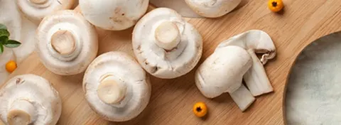 Tout savoir sur les champignons de Paris